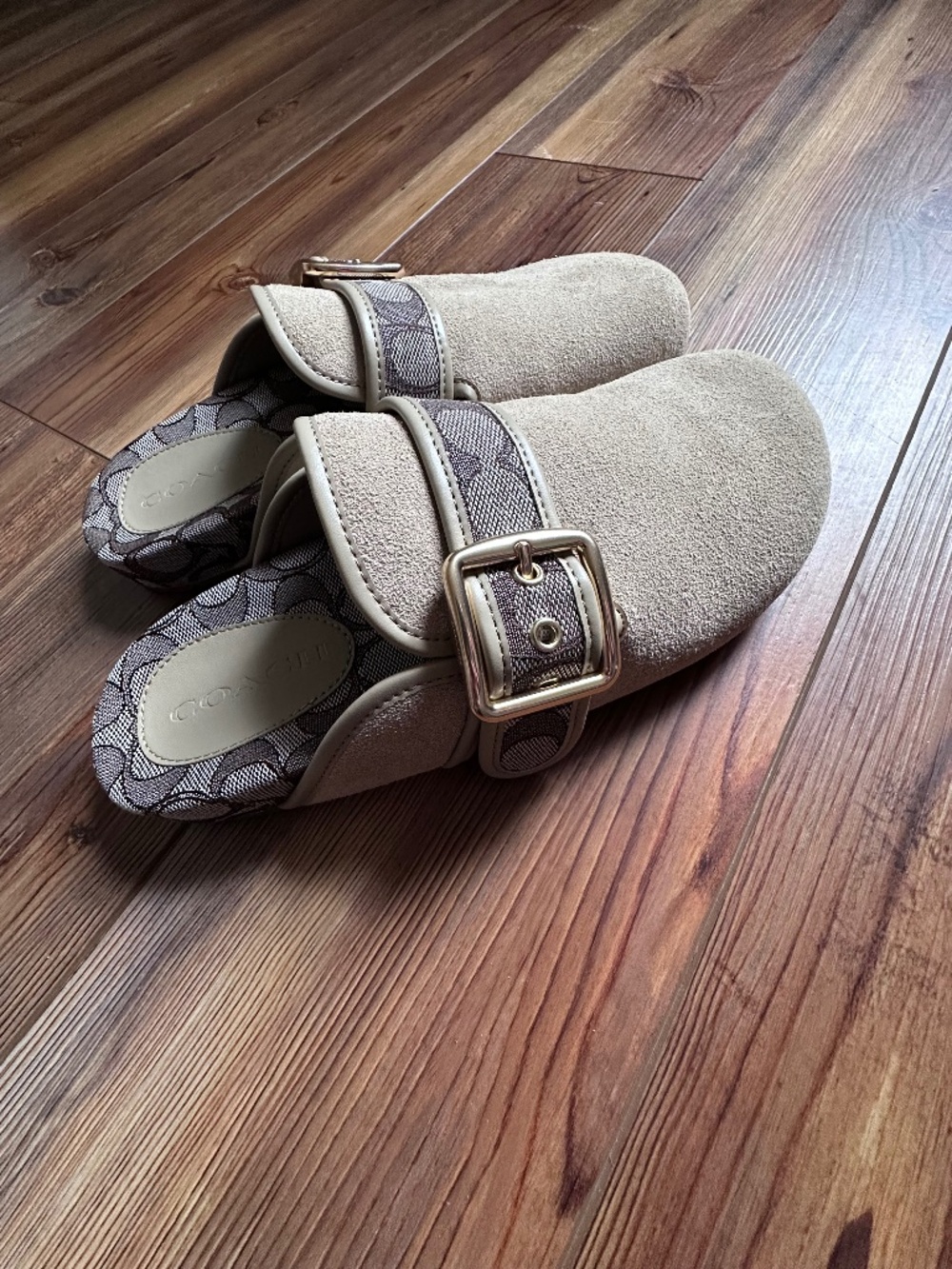 Coach Archival Buckle Clog